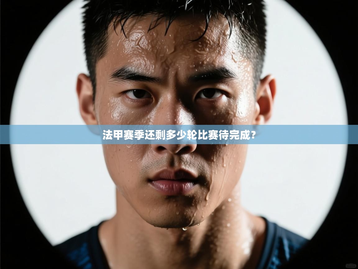 法甲赛季还剩多少轮比赛待完成？  第1张