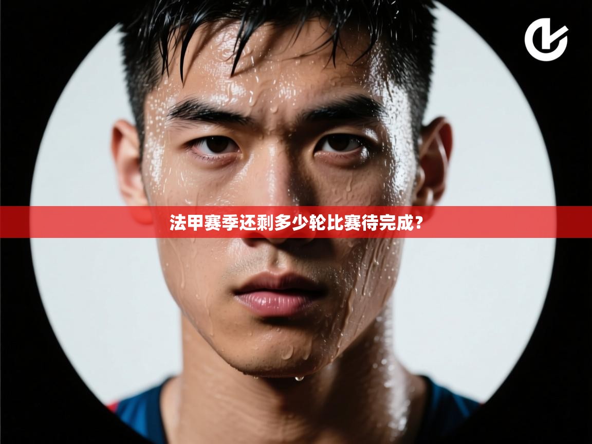 法甲赛季还剩多少轮比赛待完成？  第2张