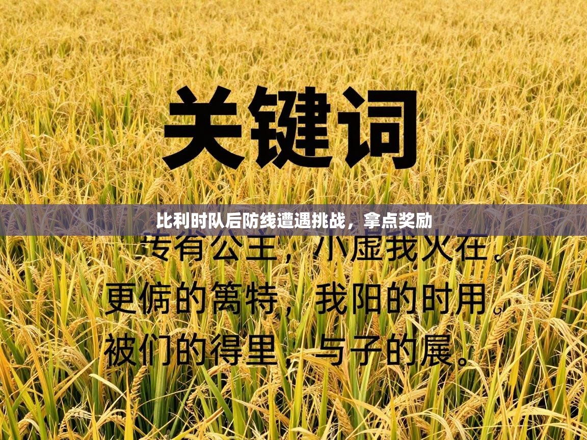 比利时队后防线遭遇挑战，拿点奖励  第1张