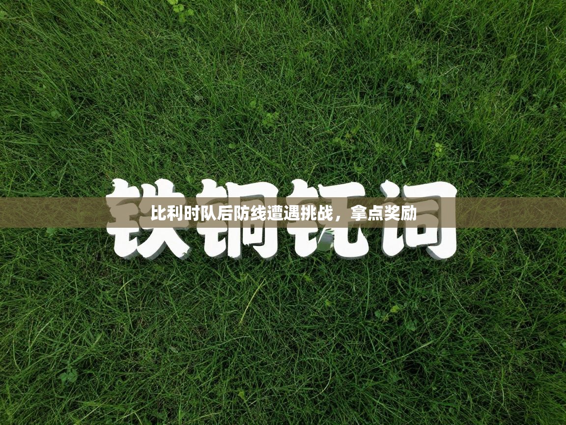 比利时队后防线遭遇挑战，拿点奖励  第2张