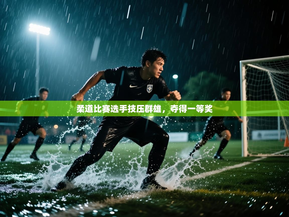 柔道比赛选手技压群雄,夺得一等奖 第1张