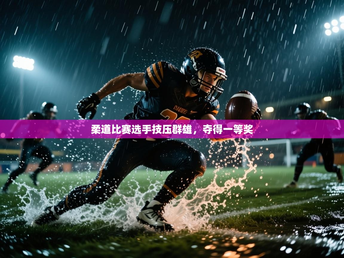 柔道比赛选手技压群雄,夺得一等奖 第2张