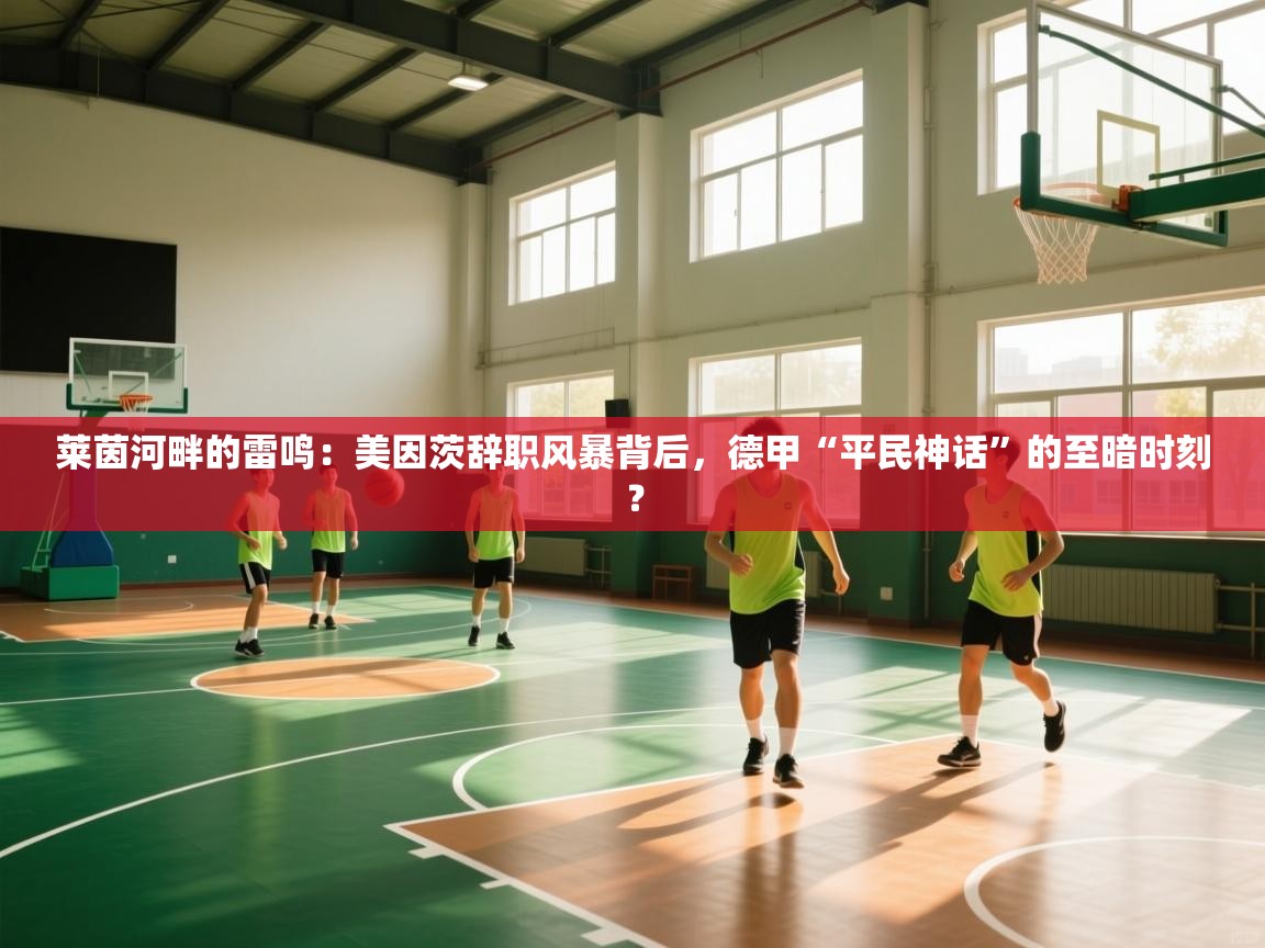 莱茵河畔的雷鸣:美因茨辞职风暴背后,德甲“平民神话”的至暗时刻? 第1张