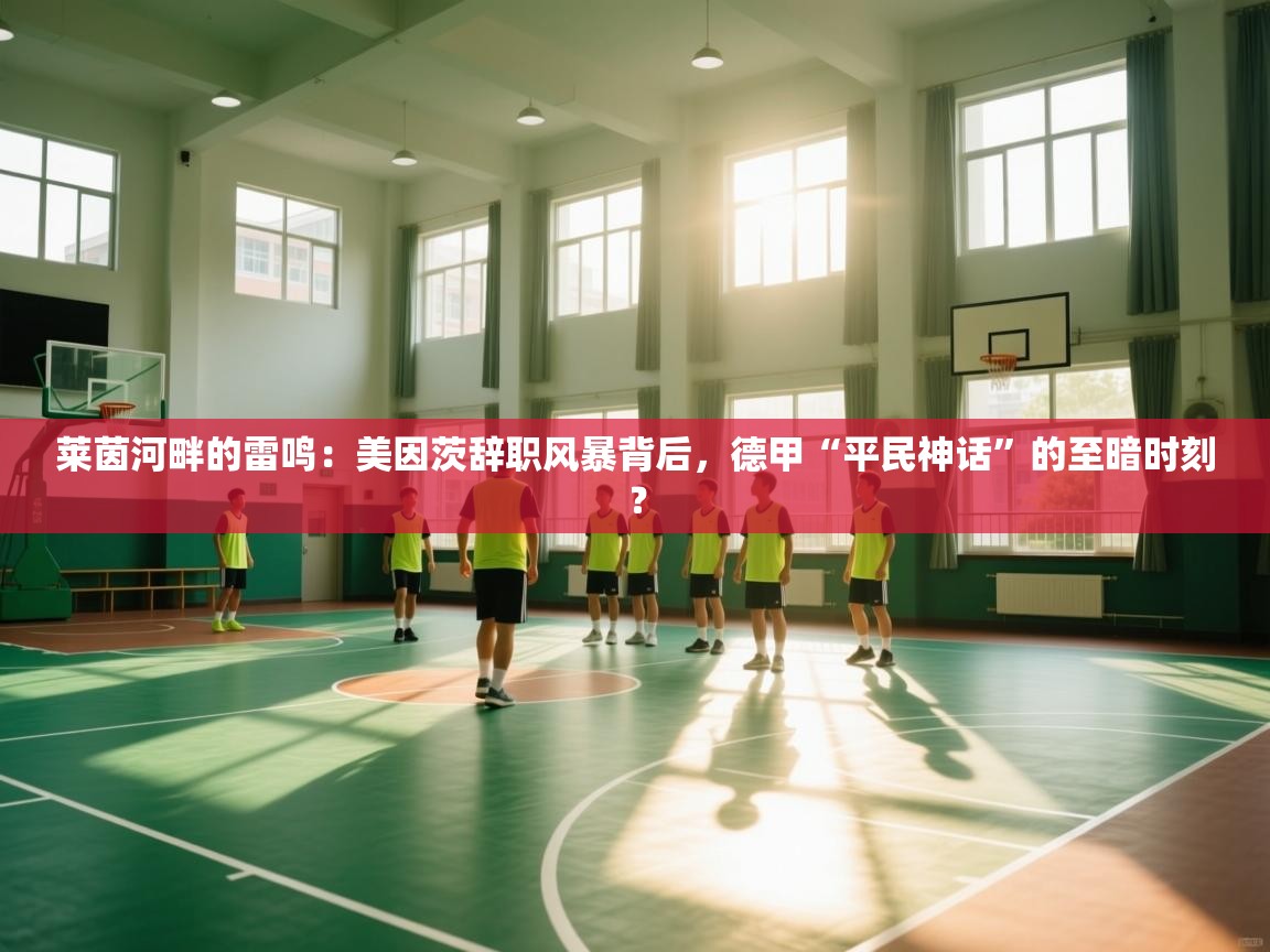 莱茵河畔的雷鸣:美因茨辞职风暴背后,德甲“平民神话”的至暗时刻? 第2张