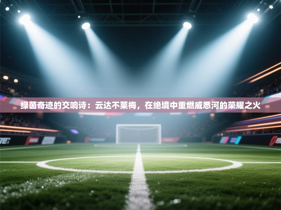 绿茵奇迹的交响诗：云达不莱梅，在绝境中重燃威悉河的荣耀之火