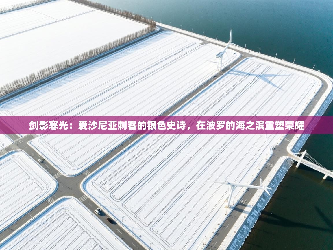 剑影寒光:爱沙尼亚刺客的银色史诗,在波罗的海之滨重塑荣耀 第1张