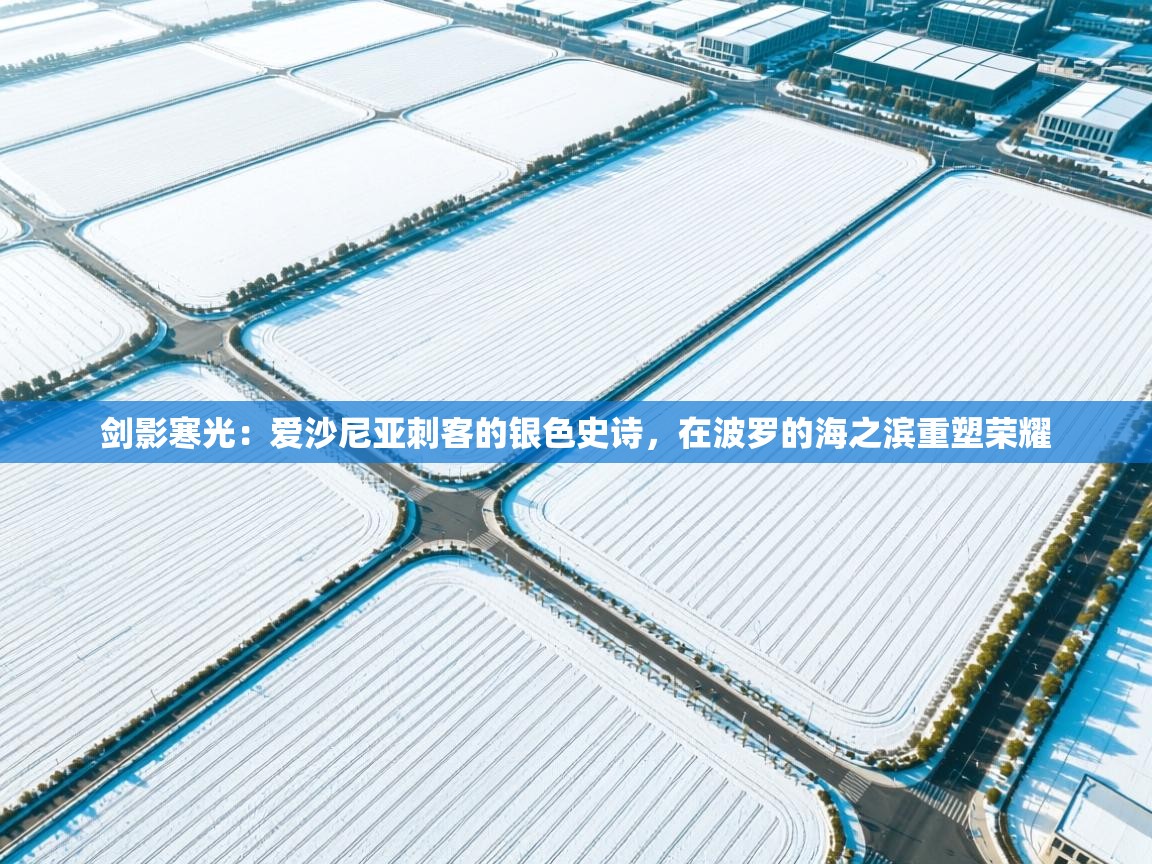 剑影寒光:爱沙尼亚刺客的银色史诗,在波罗的海之滨重塑荣耀 第2张