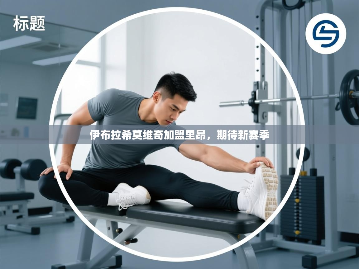 伊布拉希莫维奇加盟里昂,期待新赛季 第1张