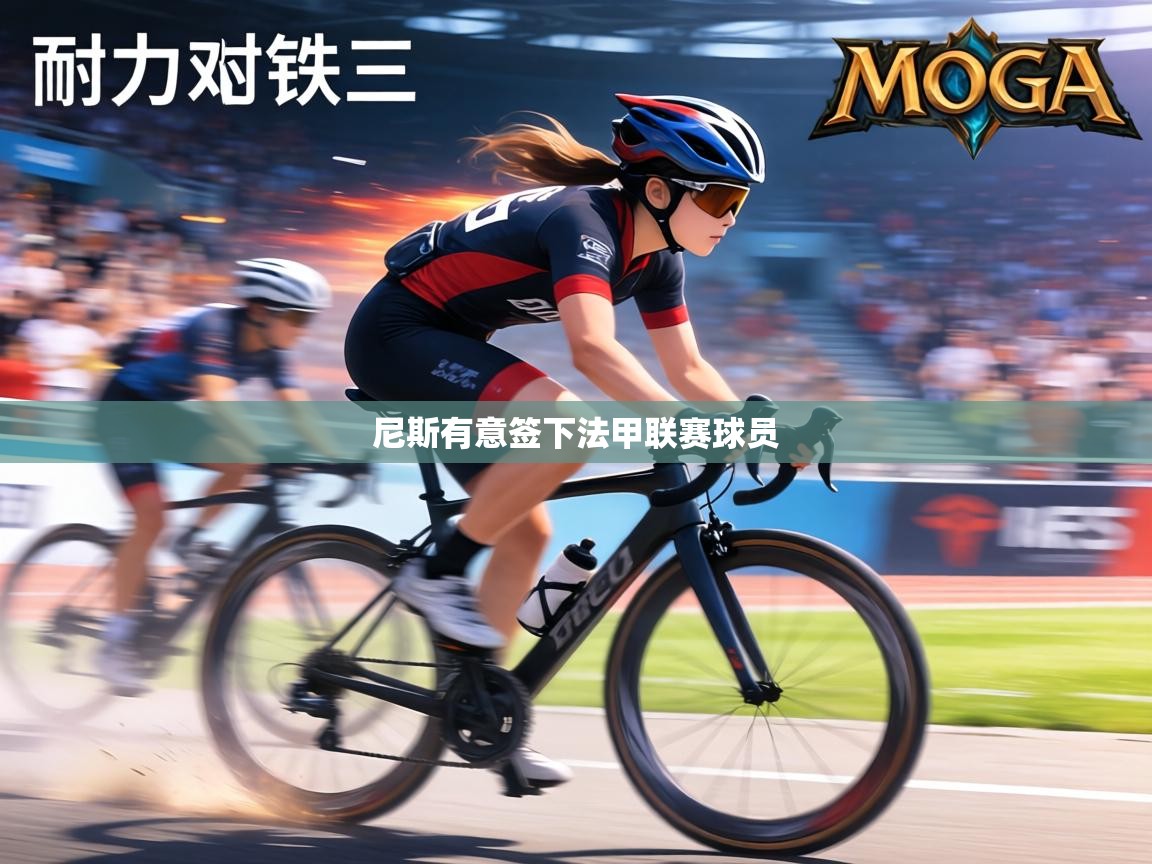 尼斯有意签下法甲联赛球员 第2张